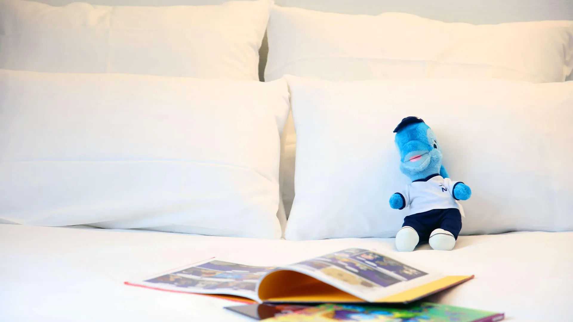 Novotel Lille Centre Grand Place Hotel